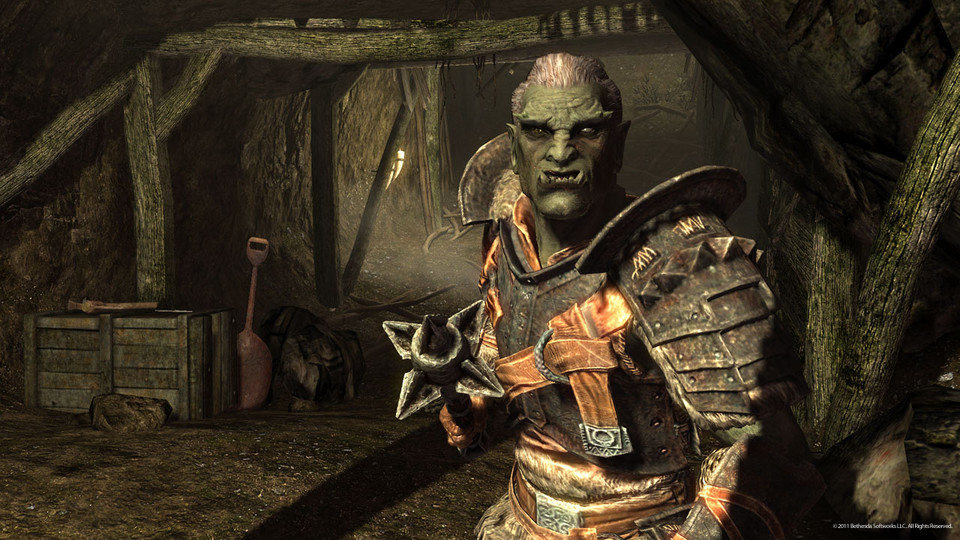 Kadr z gry "The Elder Scrolls V: Skyrim"