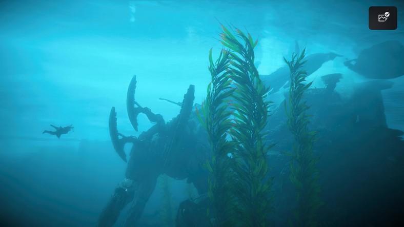 地平线紫禁西评论