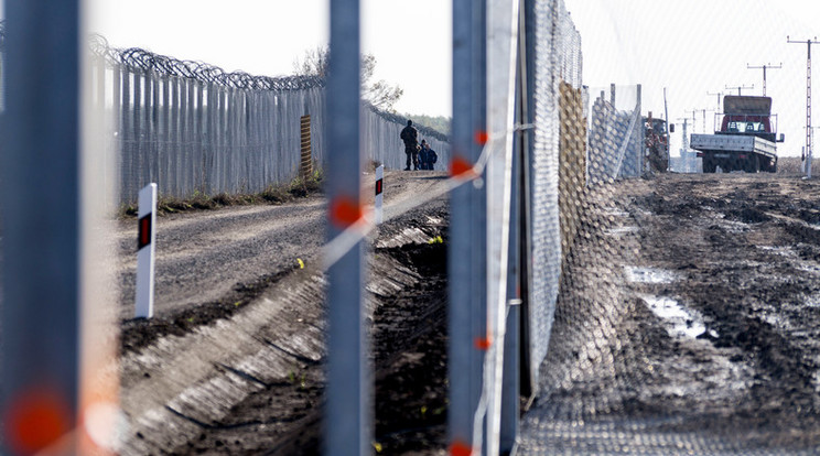 Új elemekkel bővűl a migránsok ellen felhúzott déli határszakasz kerítése /Fotó:Northfoto