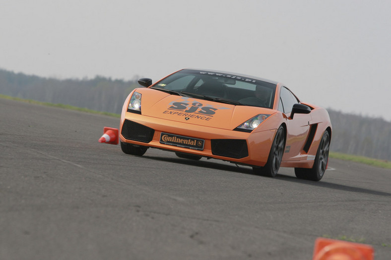 Test Lamborghini Gallardo: dzielny byk