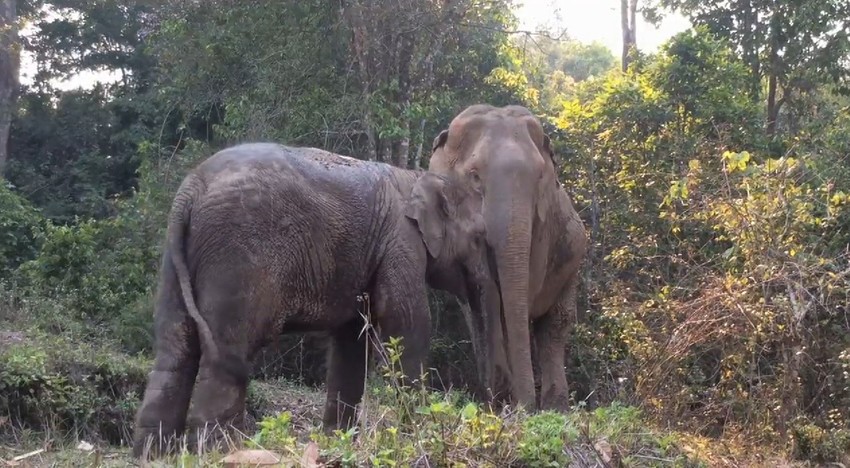 Presrećni što su ponovo zajedno