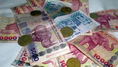 The dollar is no more relevant in trade between India and Tanzania