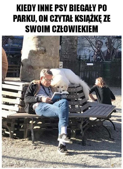 Najśmieszniejsze memy ze zwierzętami w roli głównej