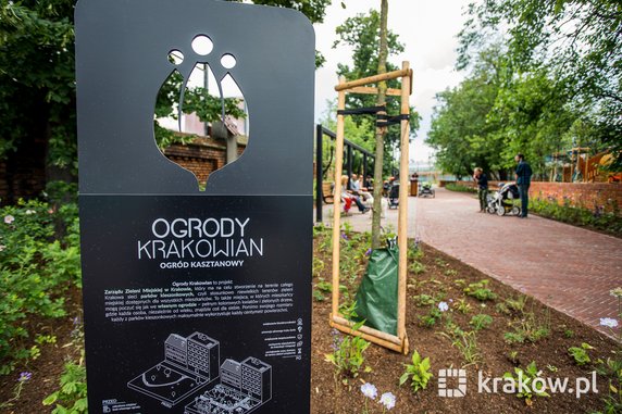 Ogród Kasztanowy już otwarty. To nowy park kieszonkowy w Krakowie