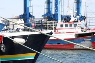 Ulga w podatku od nieruchomości nie dla chłodni