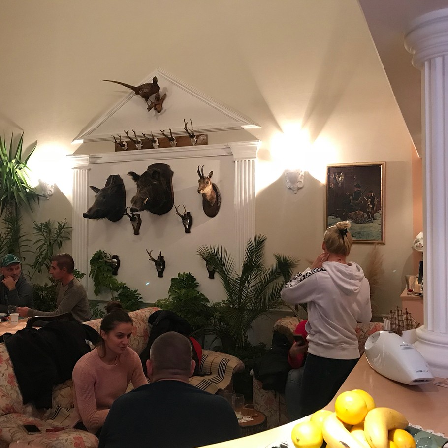 Bojana RistivojeviÄ