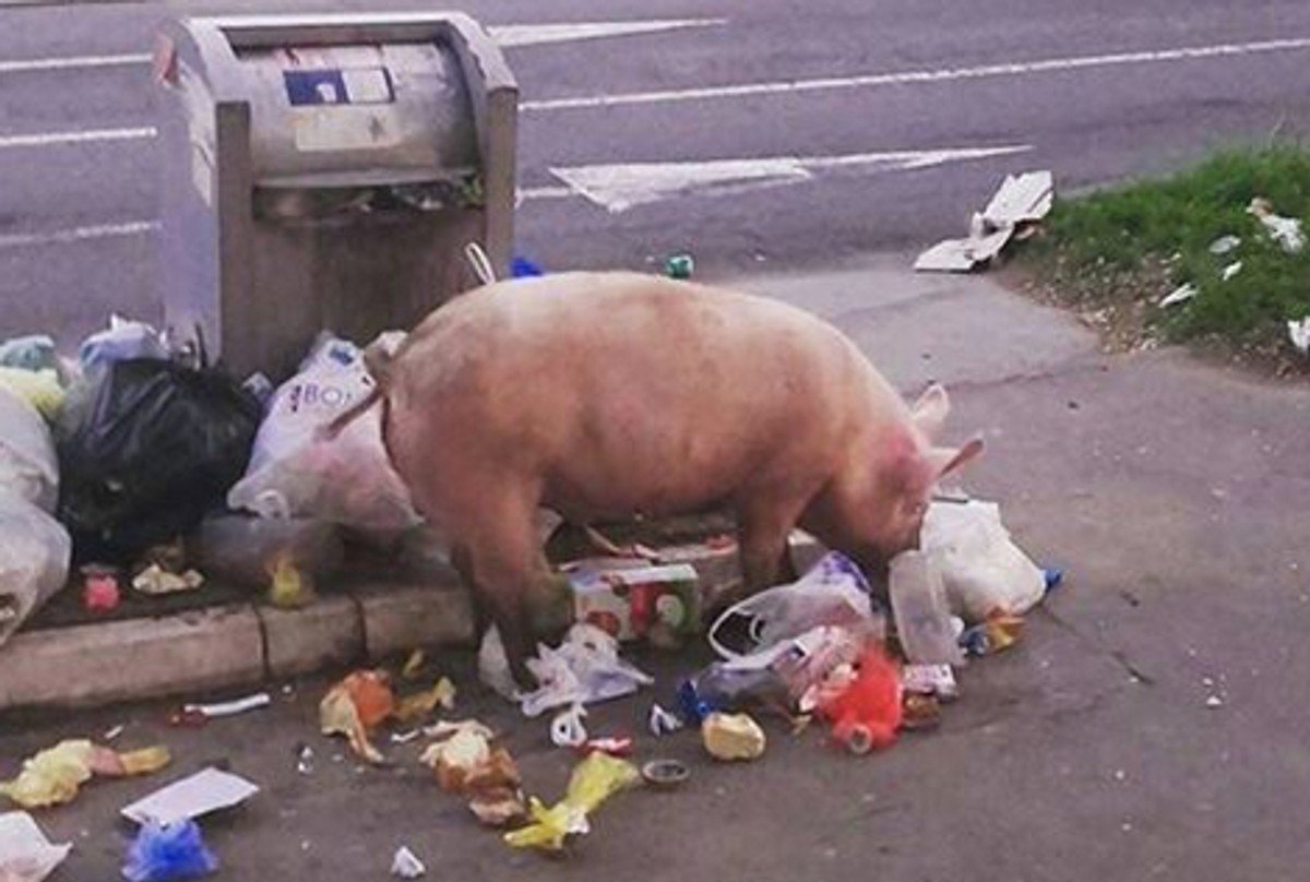 88Fk9lLaHR0cDovL29jZG4uZXUvaW1hZ2VzL3B1bHNjbXMvTVdZN01EQV8vY2FmN2JjOTViZWU5YWJjMTg5YWFlYmUzZTY2MWVlYjkucG5nkZMCzQSwAIEAAQ