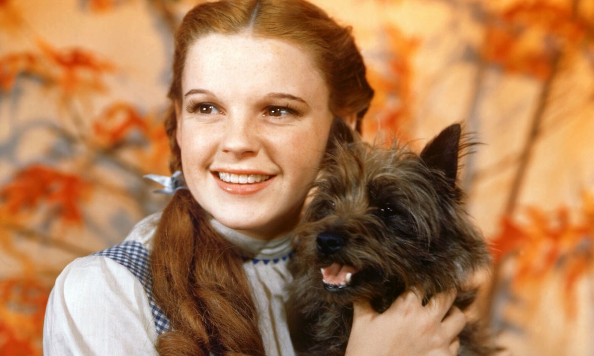 Smutne dzieciństwo Judy Garland. Nazywali ją "grubą małą świnią z warkoczami"
