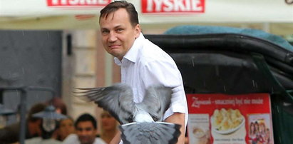 Sikorski wystraszył się ptaszka!