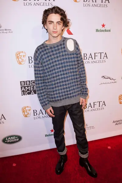 Timothee Chalamet na BAFTA Tea Party 2019