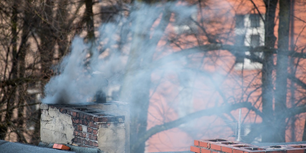 Neutralność klimatyczna oznacza zdecydowane zmniejszenie emisji gazów cieplarnianych i doprowadzenie do sytuacji, w której ewentualne emisje tych gazów są równoważone przez usuwanie dwutlenku węgla z atmosfery. Na ten temat na szczycie dyskutuje UE.