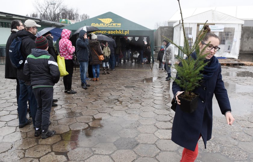 Choinka za elektrośmieci