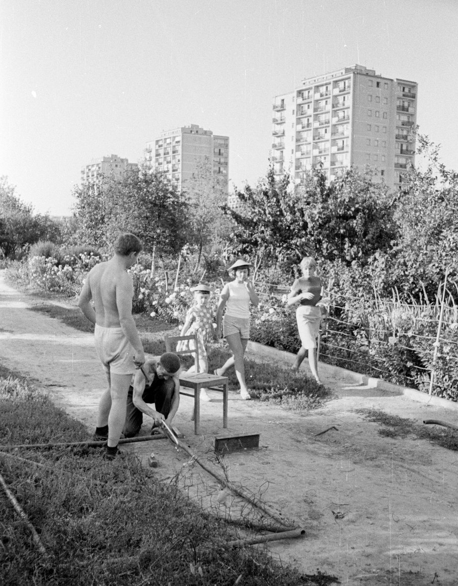 Życie na dzialce, Warszawa, lata 60.