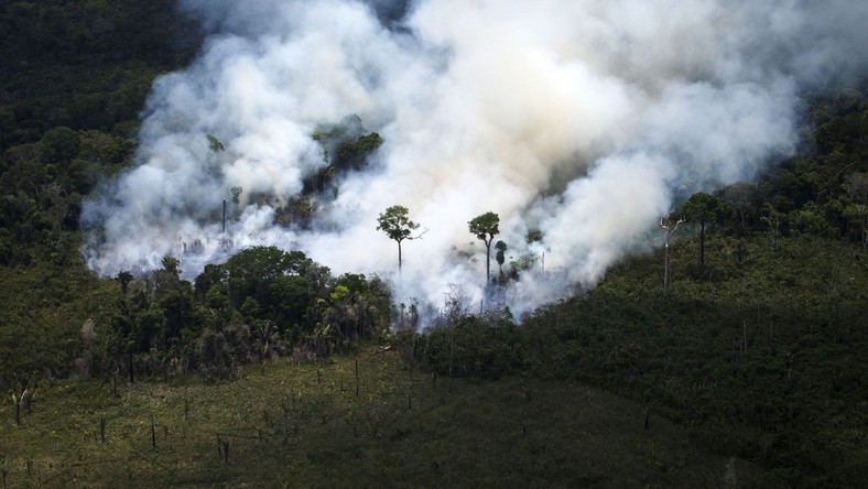 2 tys. nowych pożarów w Amazonii w ciągu 48 godzin