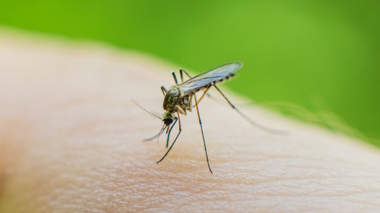 Z Bangladéša sa šíri smrteľná nákaza. (Ilustračný obraźok)