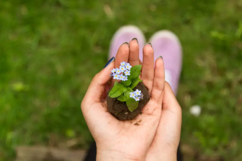 Kalendarz biodynamiczny ogrodnika 2018 / unsplash