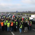 Protest rolników na S8. Powód? Niska cena skupu trzody chlewnej