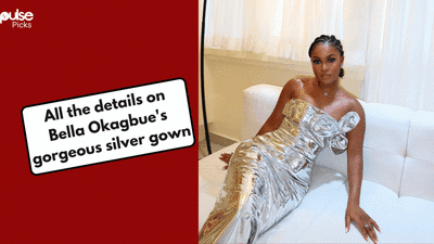 Bella Okagbue's silver gown