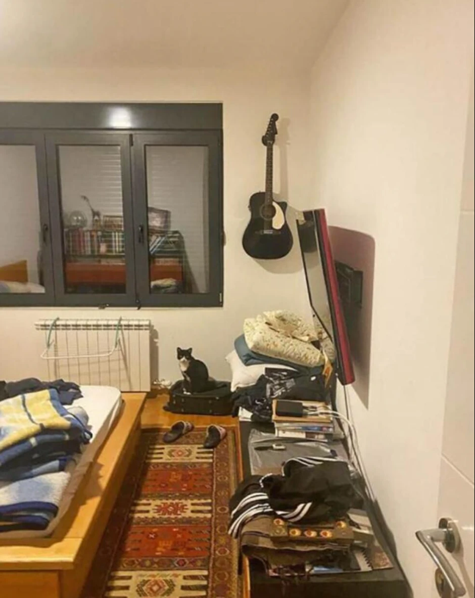 Sergej Trifunović - stan