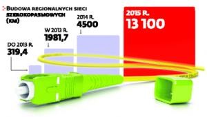 Budowanie sieci internetowych odkładamy na ostatnią chwilę