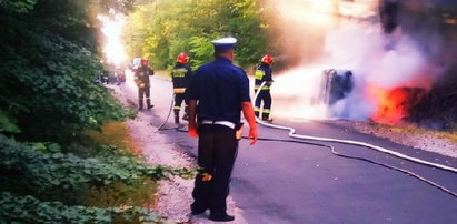 Sarna na drodze pod Rawą Mazowiecką, wypadek i pożar