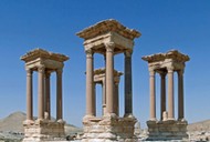 Palmyra