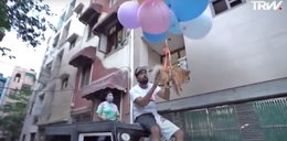 Youtuber przyczepił psa do balonów z helem i kazał mu latać. Został zatrzymany przez policję