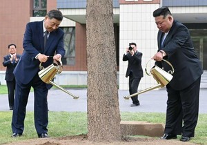 Si i Kim su zasadali jelu kao simbol njihovog večnog prijateljstva | Foto: Xinhua