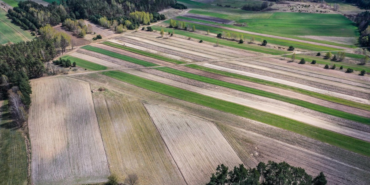 Satelity pomogą w walce z suszą