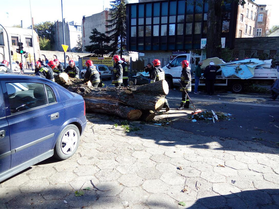 Drzewo runęło na samochody