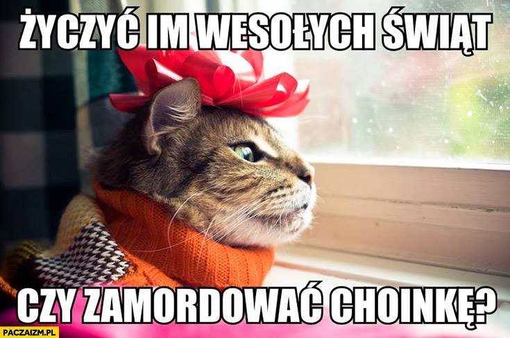 Kot i choinka to zawsze katastrofa? Te memy to śmiech przez łzy