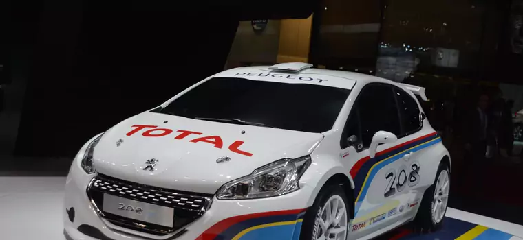 Peugeot 208 Type R5