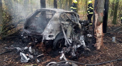 Spalone auto, a w nim dwa ciała. W tej sprawie nic nie jest takie, jak się wydaje