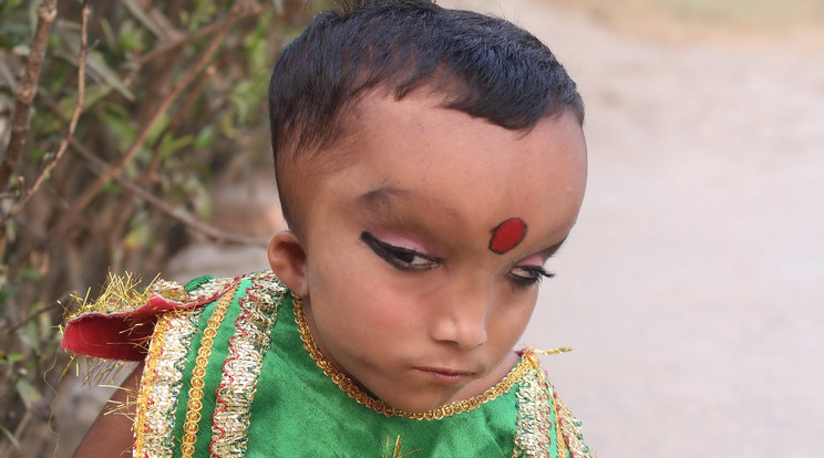 Ganesha fura betegségben szenved / Fotó: Northfoto