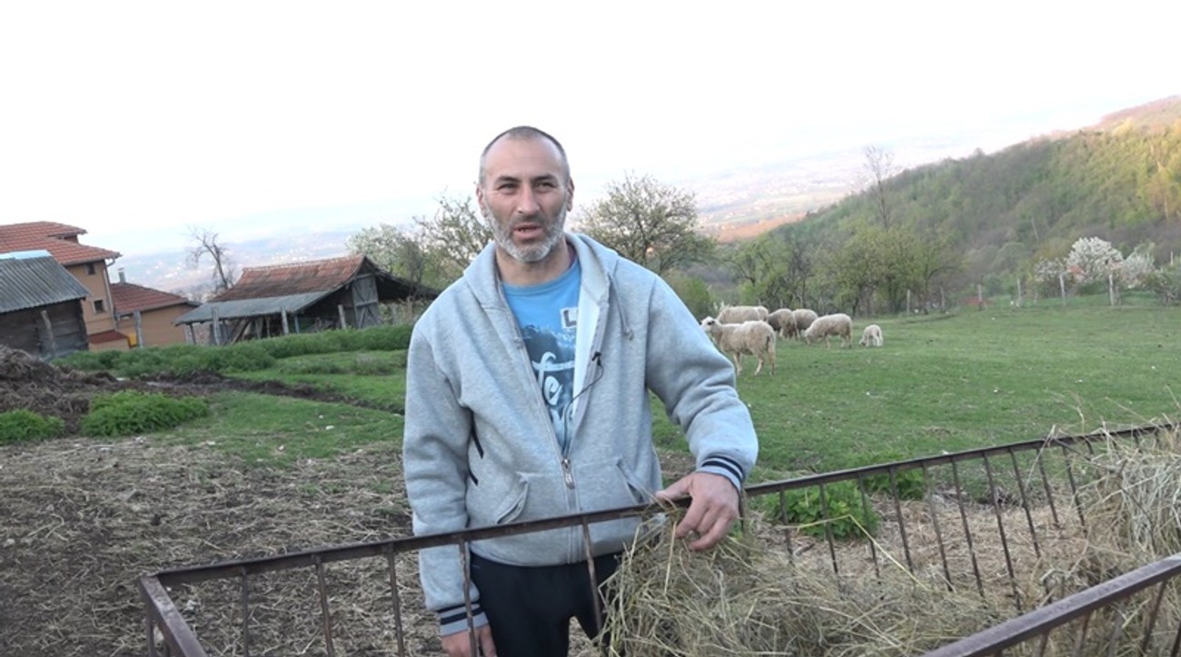 Jagnje od 30 kila više para pojede, nego što ih donese: Za kilogram pečenja treba da izdvojite i do 2.000 dinara