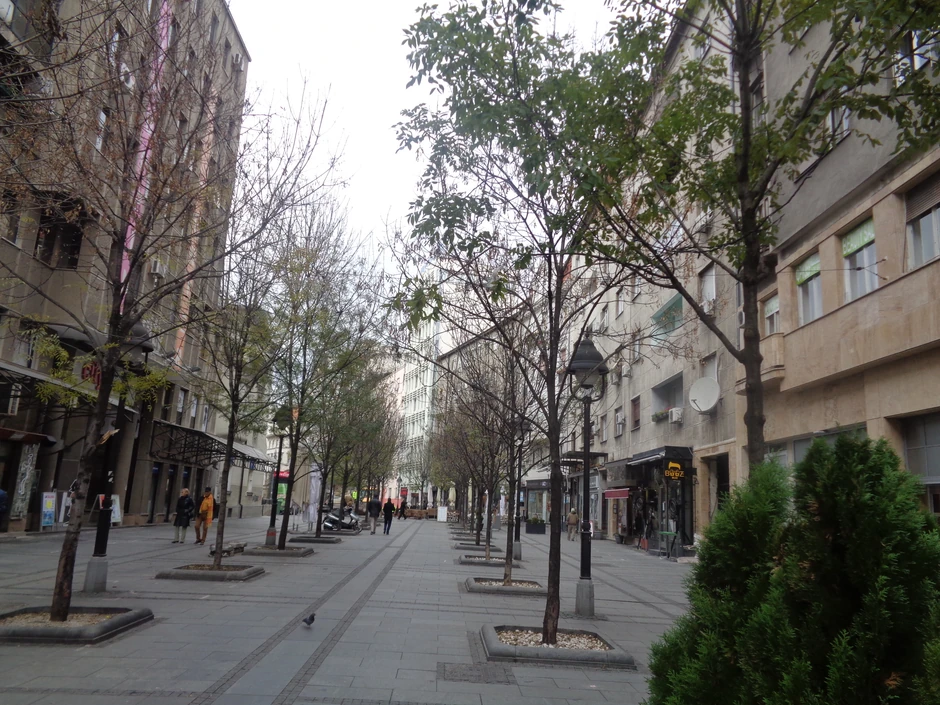 U prethodnoj fazi posađeno je više od 50 stabala drveća