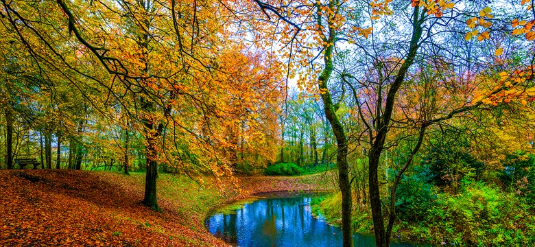 Tutaj warto wybrać się na spacer! Polecamy 6 najpiękniejszych arboretów [FOTO]