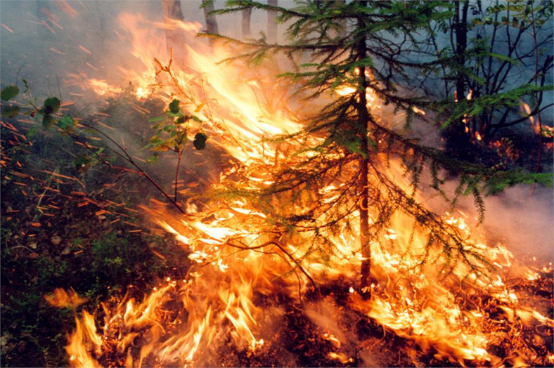Płonące na Syberii lasy