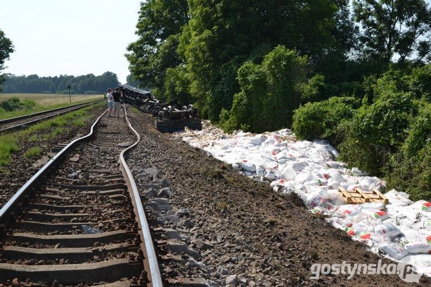 Pociąg wypadł z torów. Wagony leżą w rowie