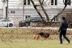 Straż pożarna w całym kraju odnotowała dotąd ponad 20 tys. zdarzeń. Ponad 1,2 mln gospodarstw domowych pozostaje bez prądu – poinformował w sobotę w Drawsku Pomorskim wiceminister spraw wewnętrznych i administracji Paweł Szefernaker.