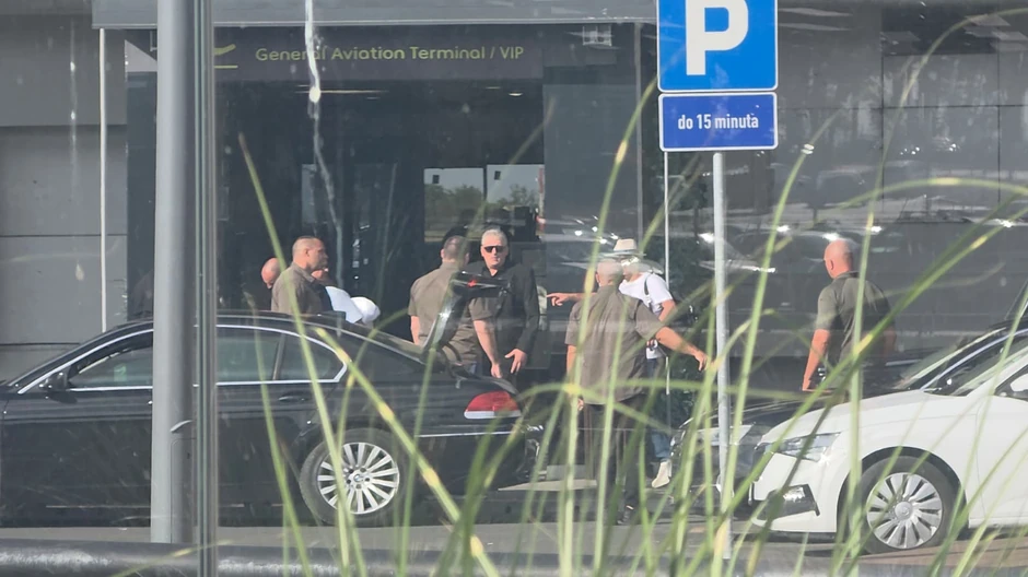 Toni Bijelić, Žan-Klod Van Dam, Željko Mitrović