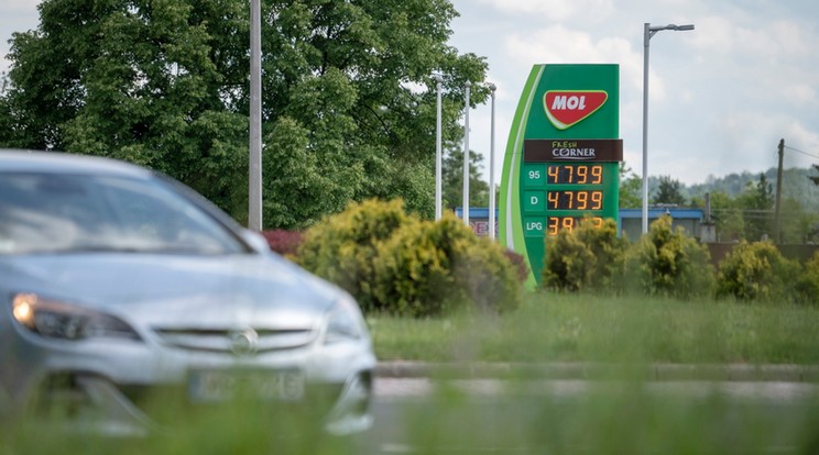 Mol, minőség mindenhol. Meg kevesebb benzin... / Fotó: MTI/Komka Péter