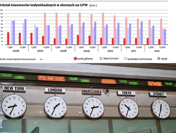 Udział inwestorów indywidualnych w obrotach na GWP (proc.)