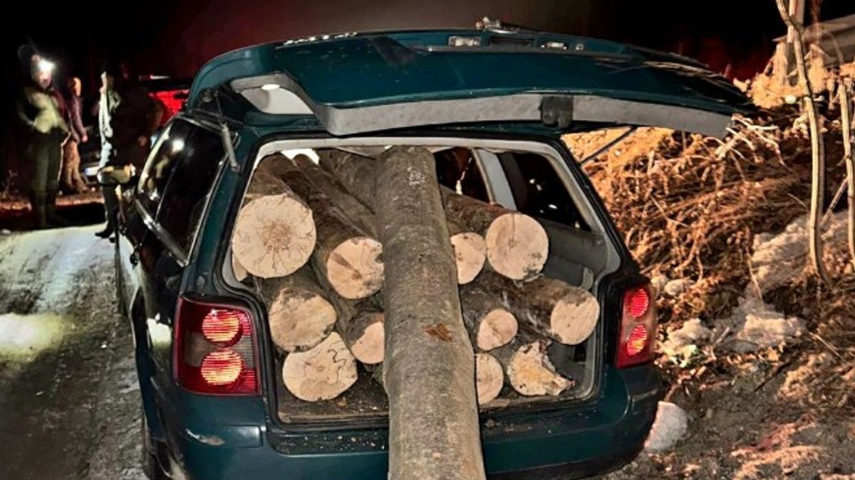 Pasat pun ukradenih drva iz šume