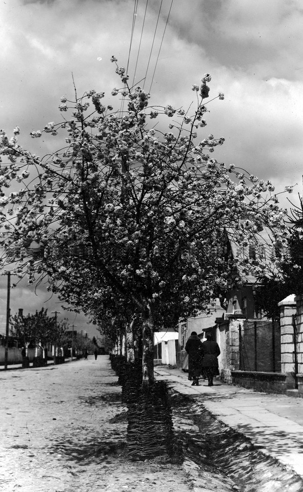 Zaleszczyki - kurort II Rzeczypospolitej nad Dniestrem