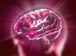 Mózg odkrył kolejną tajemnicę. Nowe badanie