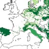 vuk, mapa