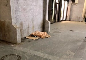 Deca spavaju na ulici