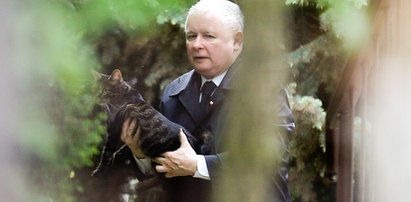 Kaczyński posprząta po kontrowersyjnym ministrze? Możliwe zaostrzenie przepisów!