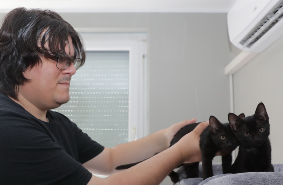 A néhai üzletember fia jelenleg két kiscicával él  / Fotó: Granák László